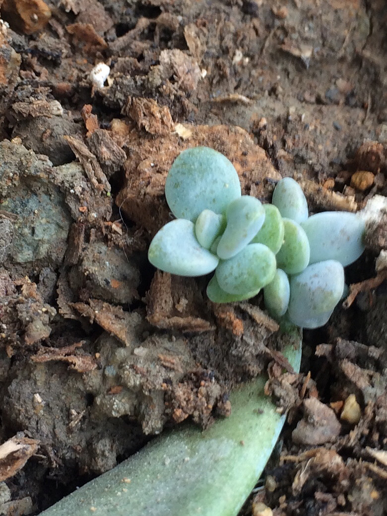 ����֮��������ˣ����ź���Ŷ��