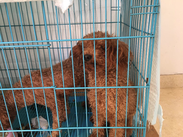 û�������ϣ��ͼ۳���400һֻ