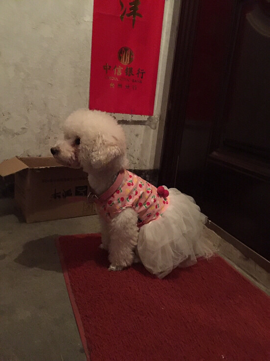 �������㡿ĭĭ