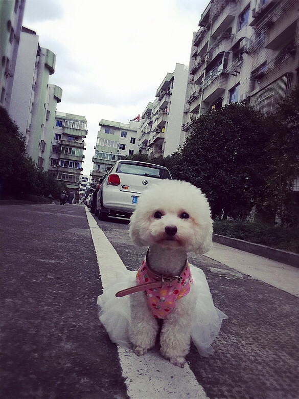 �������㡿ĭĭ