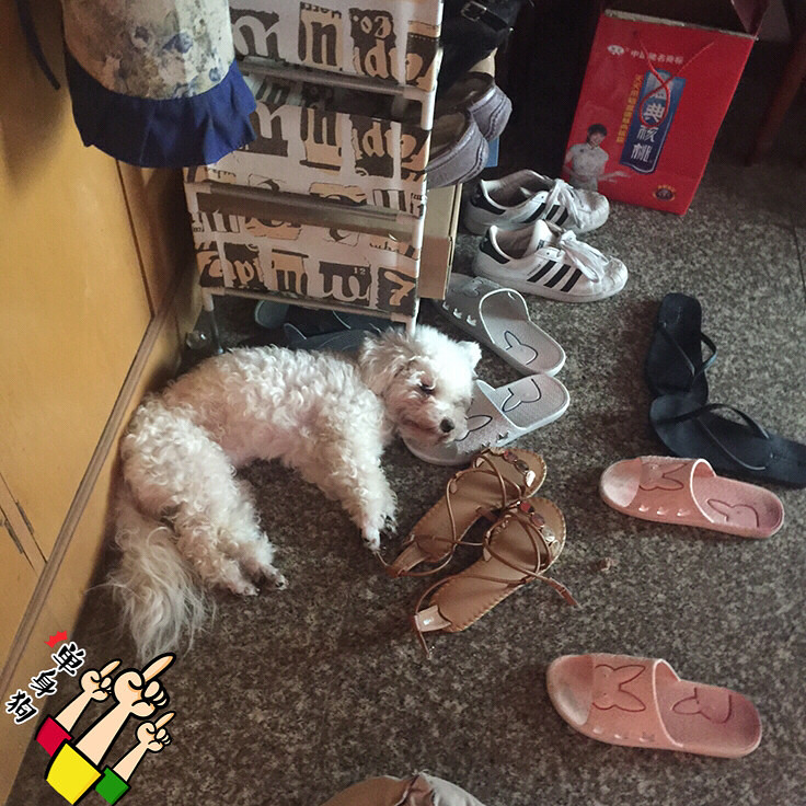 �������㡿ĭĭ