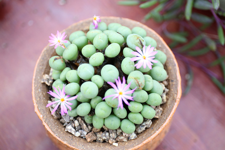 ����ҵĶ���  �������  ���ռ�����  ��ͼ�������