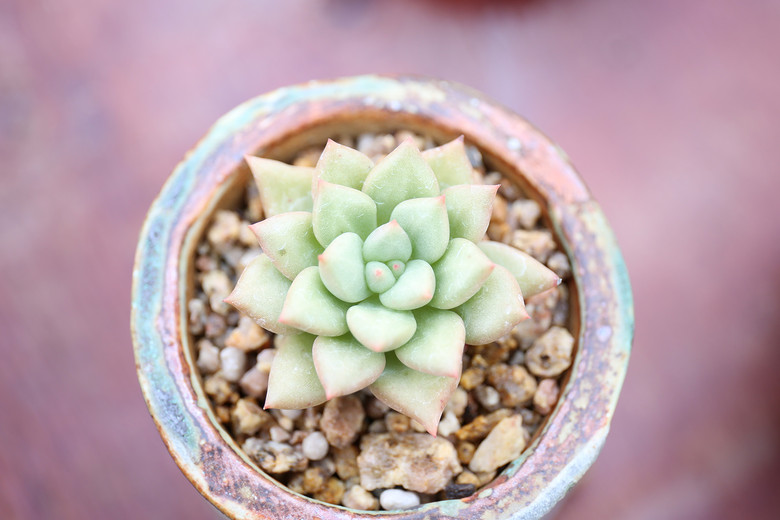 ����ҵĶ���  �������  ���ռ�����  ��ͼ�������