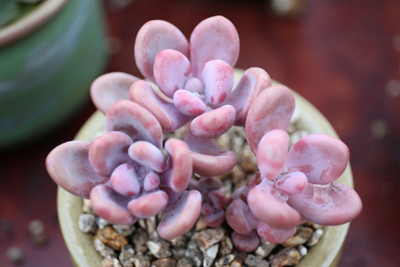 ����ҵĶ���  �������  ���ռ�����  ��ͼ�������