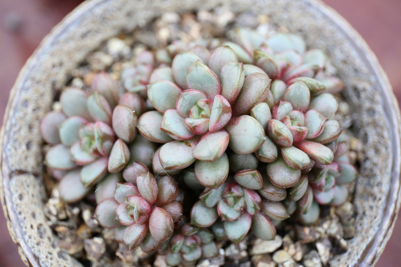 ����ҵĶ���  �������  ���ռ�����  ��ͼ�������