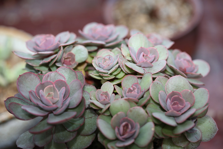 ����ҵĶ���  �������  ���ռ�����  ��ͼ�������