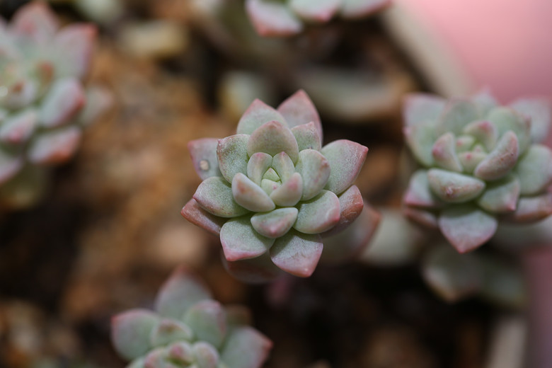 ����ҵĶ���  �������  ���ռ�����  ��ͼ�������