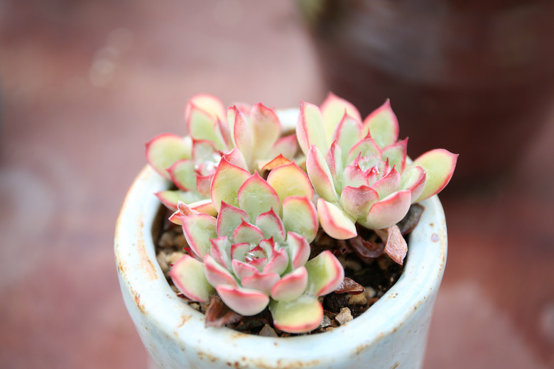 ����ҵĶ���  �������  ���ռ�����  ��ͼ�������