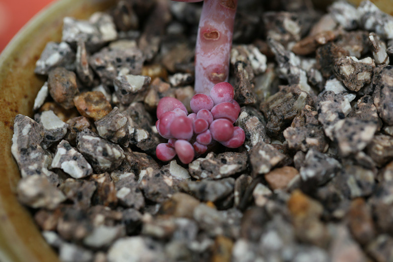 ����ҵĶ���  �������  ���ռ�����  ��ͼ�������