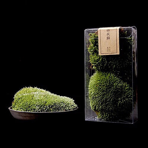 �����������ˣ�����̦����