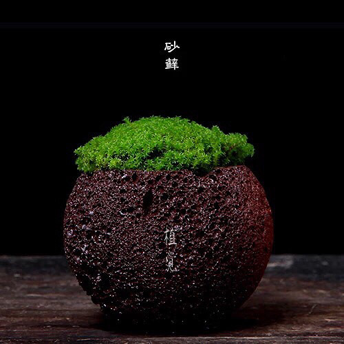 �����������ˣ�����̦����