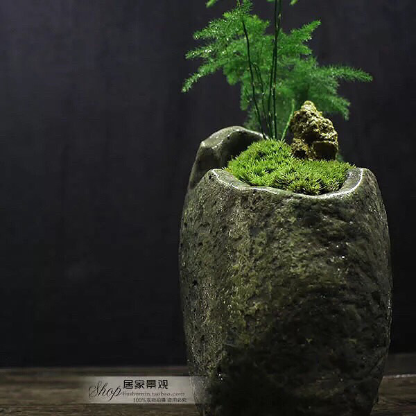 �����������ˣ�����̦����