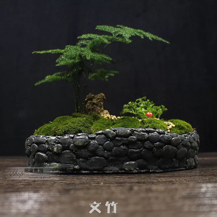 �����������ˣ�����̦����