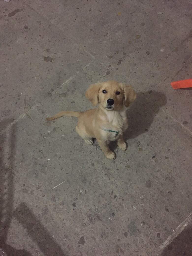 һ������������