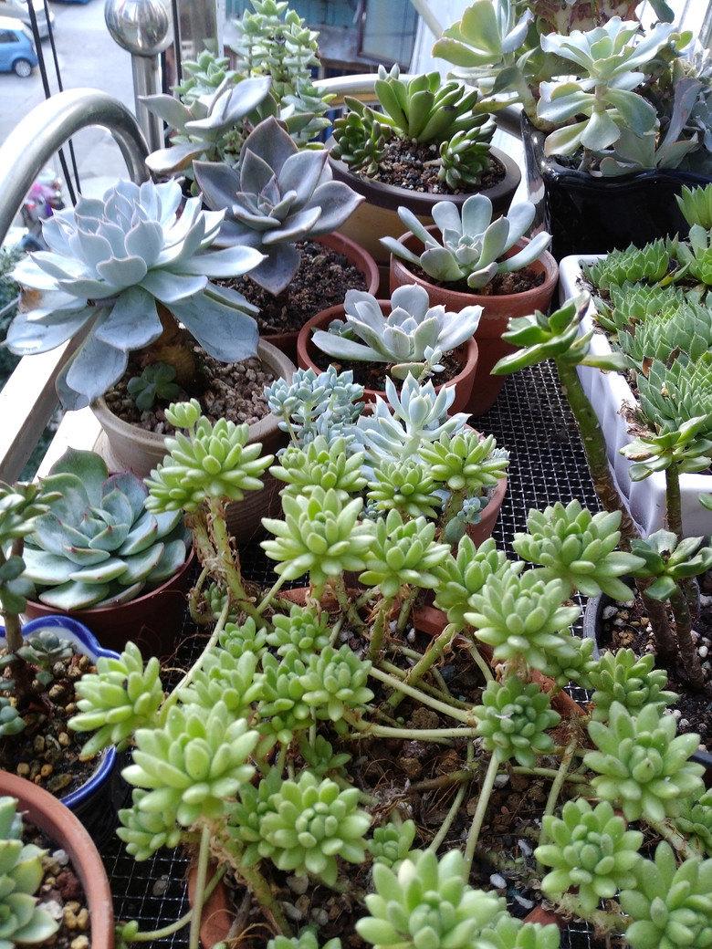 �ɰ��������ǣ�Խ��Խϲ����