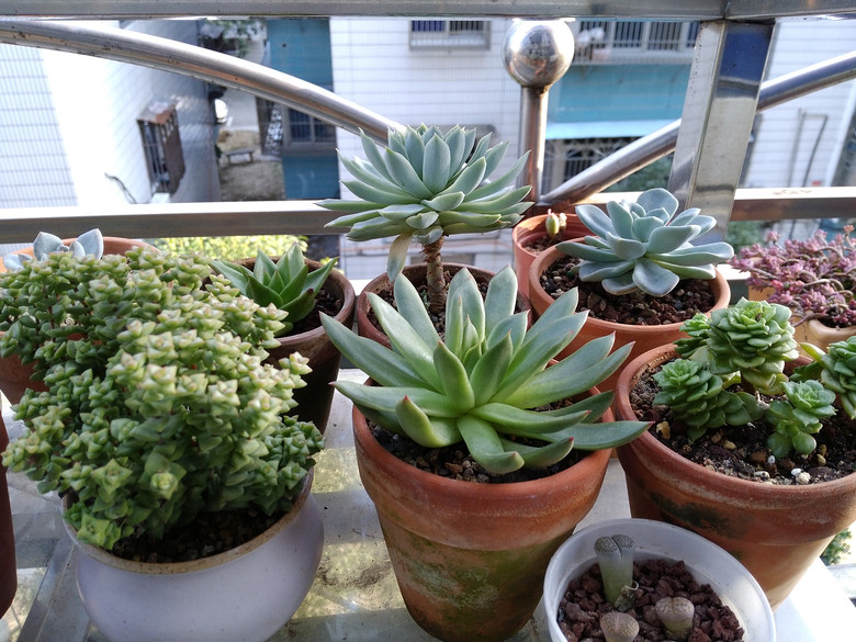 �ɰ��������ǣ�Խ��Խϲ����