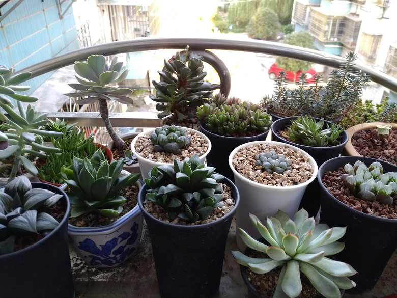 �ɰ��������ǣ�Խ��Խϲ����