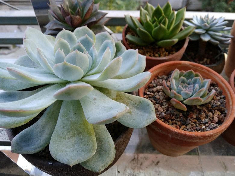 �ɰ��������ǣ�Խ��Խϲ����