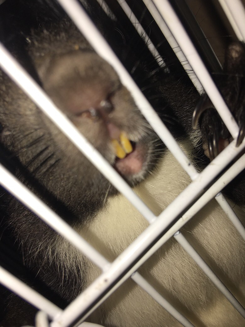 ��Ű�Ĳ�Ҫ��Ҫ��