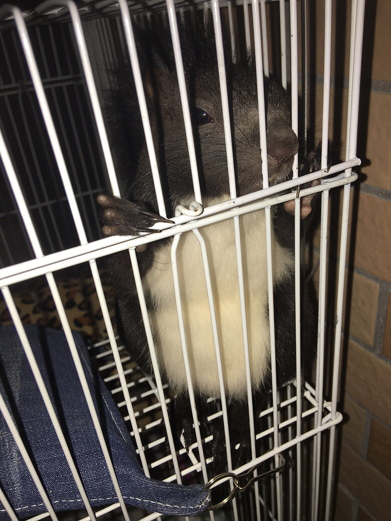 ��Ű�Ĳ�Ҫ��Ҫ��