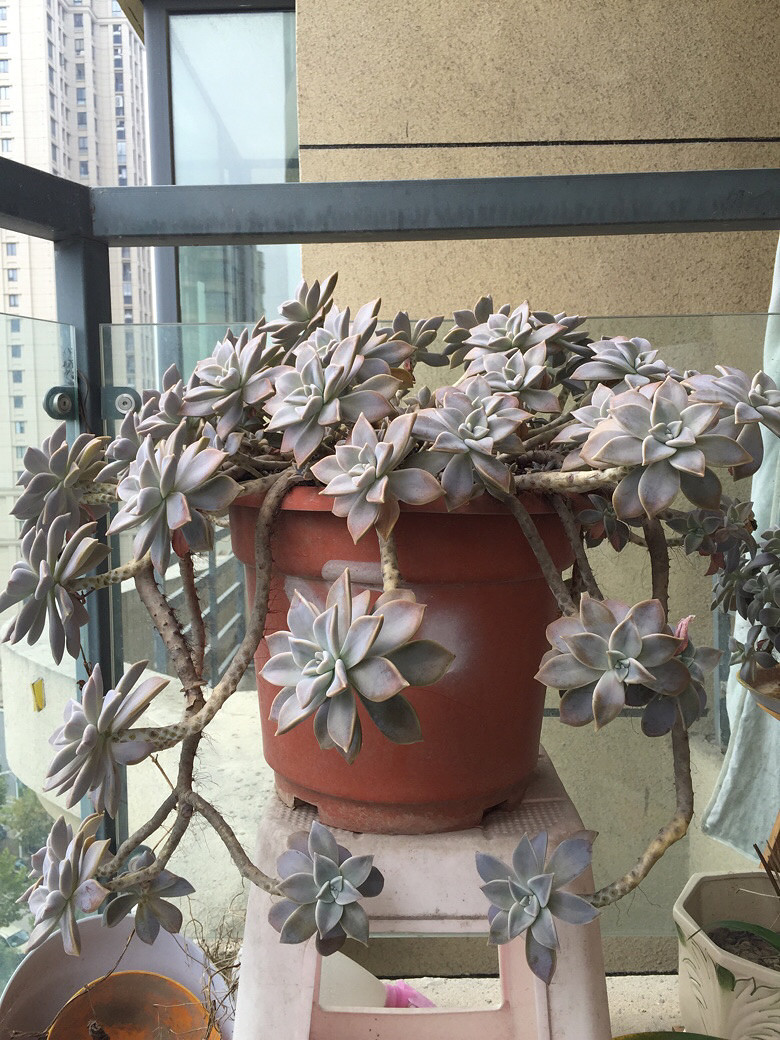 �ֵ���õ�һ�����