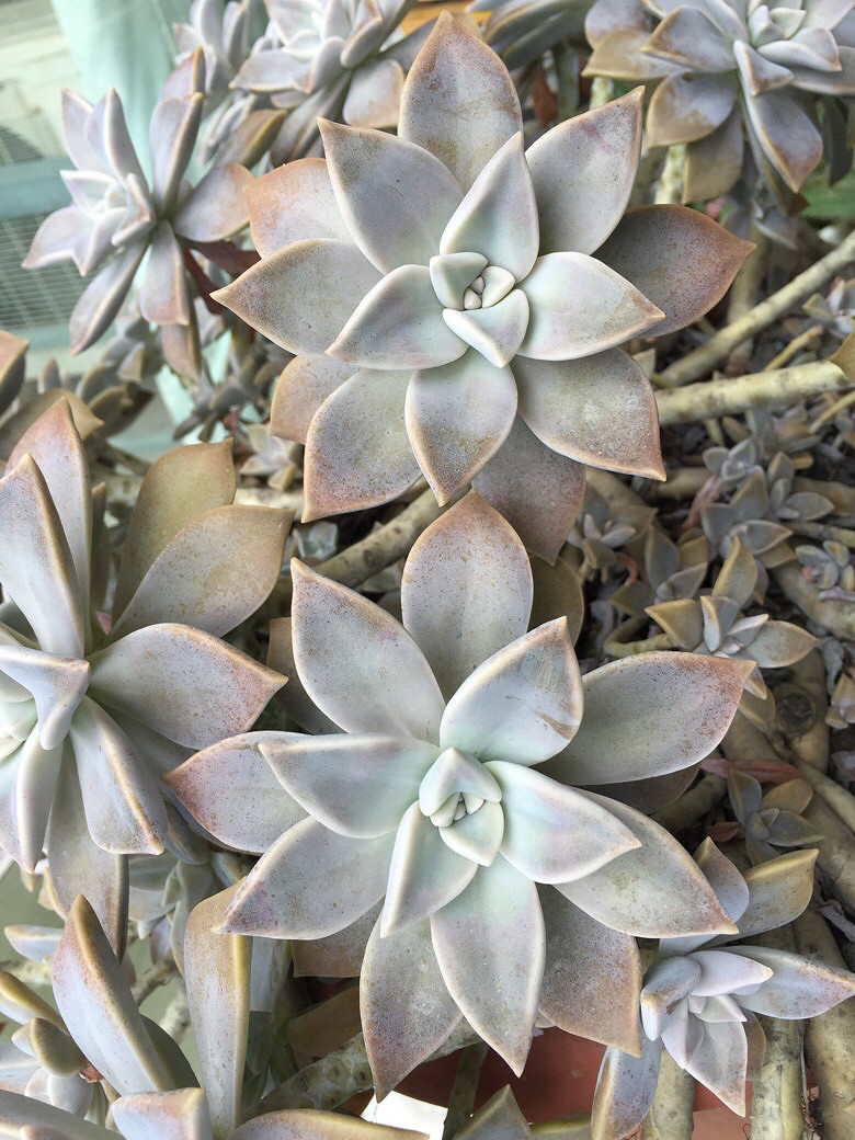 �ֵ���õ�һ�����