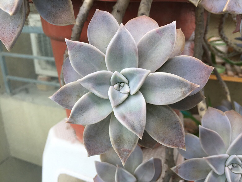 �ֵ���õ�һ�����