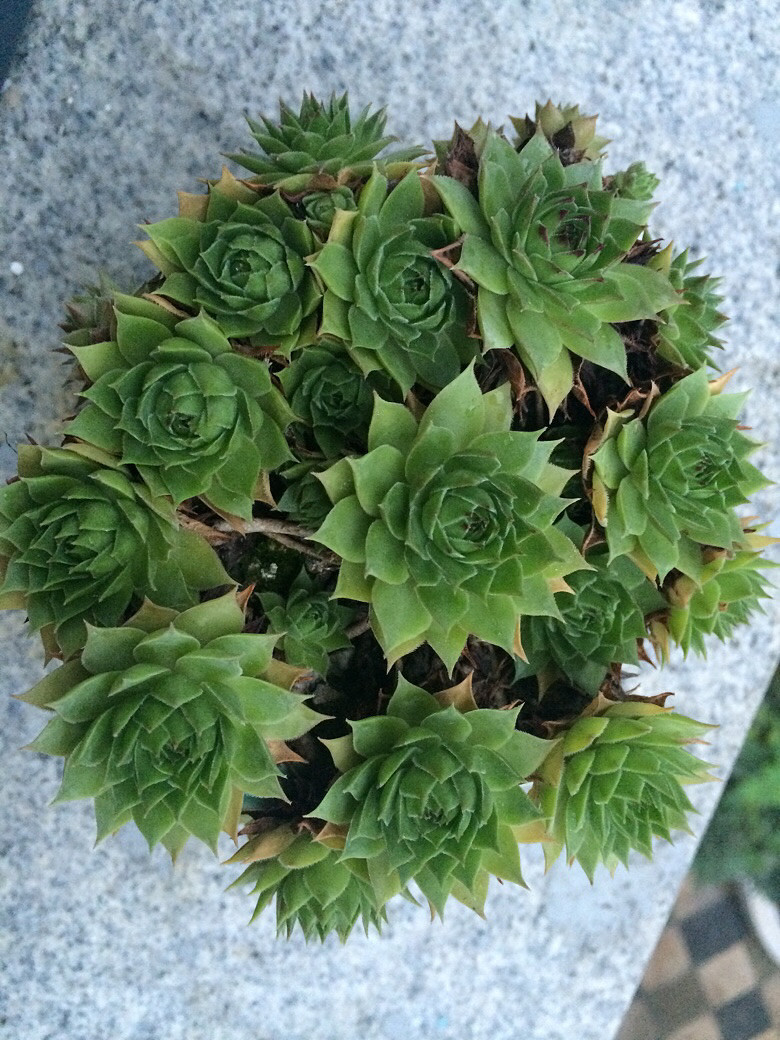 �������һ��