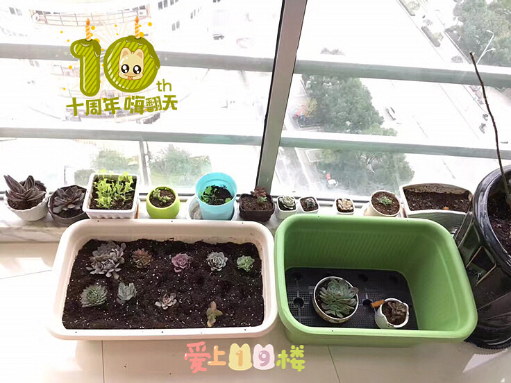 Ϊ�������Ҳ����˽�������ӰƱ ���������ԵĶ���