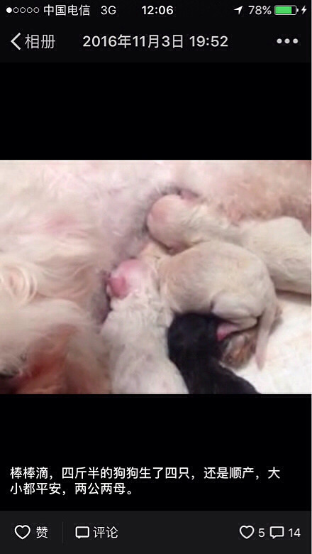 ����̩�ϳ��ۣ����и�ɫ̩�ϣ���ĸ���У���