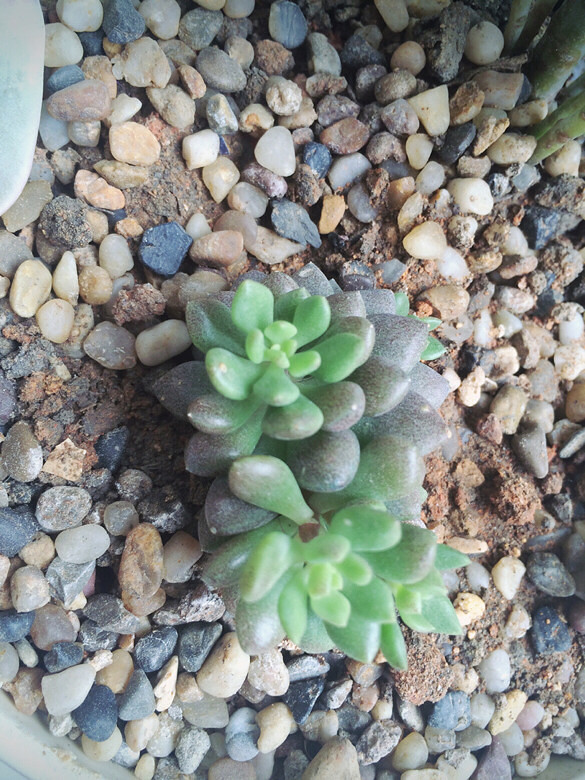 ɹɹ���ֵ���õĶ���