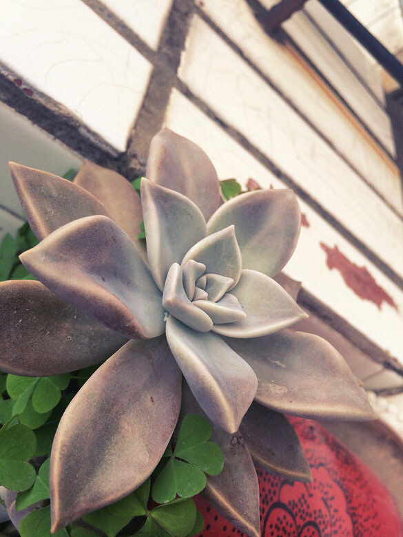 ɹɹ���ֵ���õĶ���