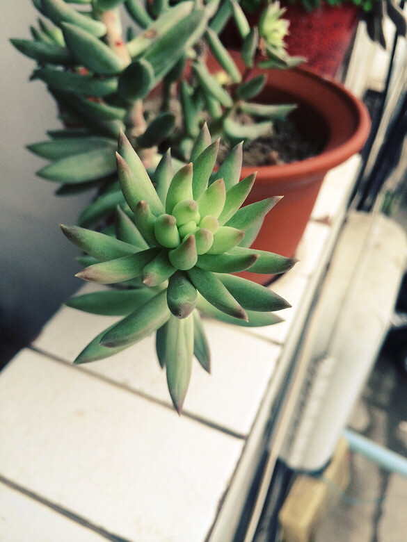 ɹɹ���ֵ���õĶ���