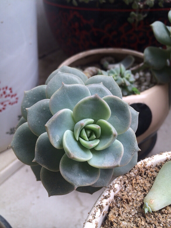 ɹɹ���ֵ���õĶ���