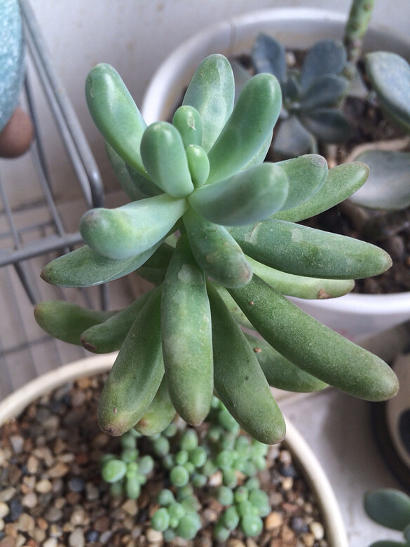 ɹɹ���ֵĶ���