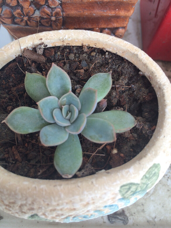 ɹɹ���ֵĶ���