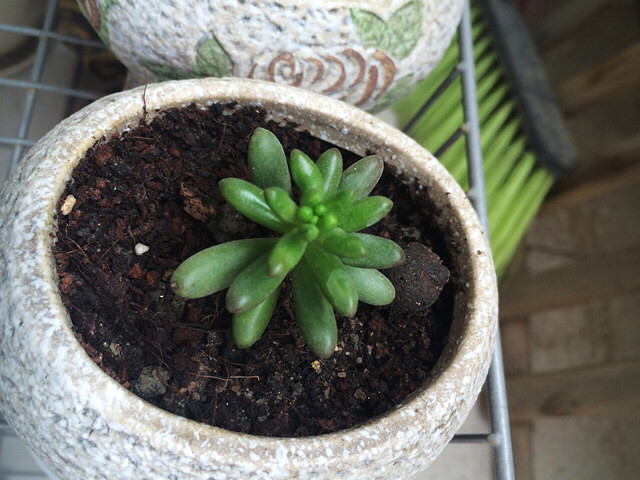 ɹɹ���ֵ���õĶ���