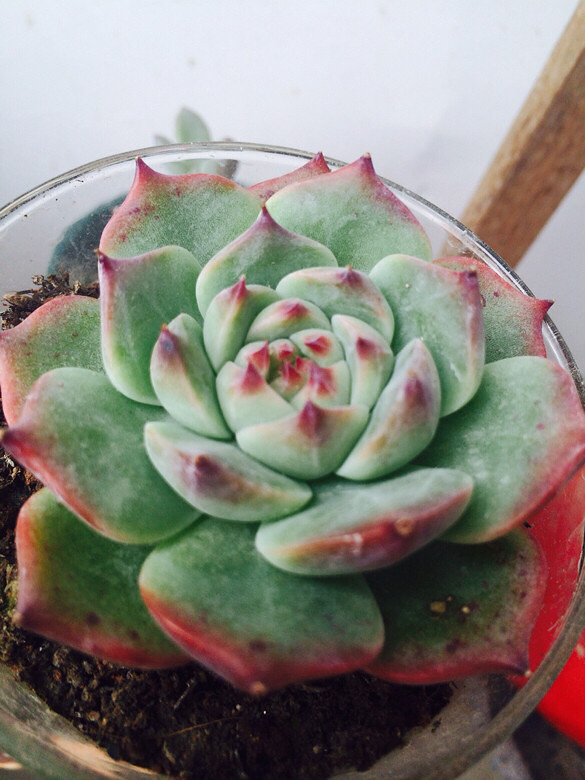 ���ֵ���ÿ���һ�����