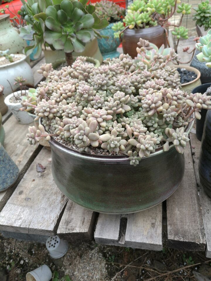 �ֵ���õ�һ�����