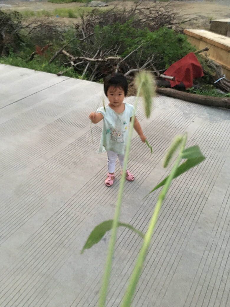 �ֵ���õĶ���