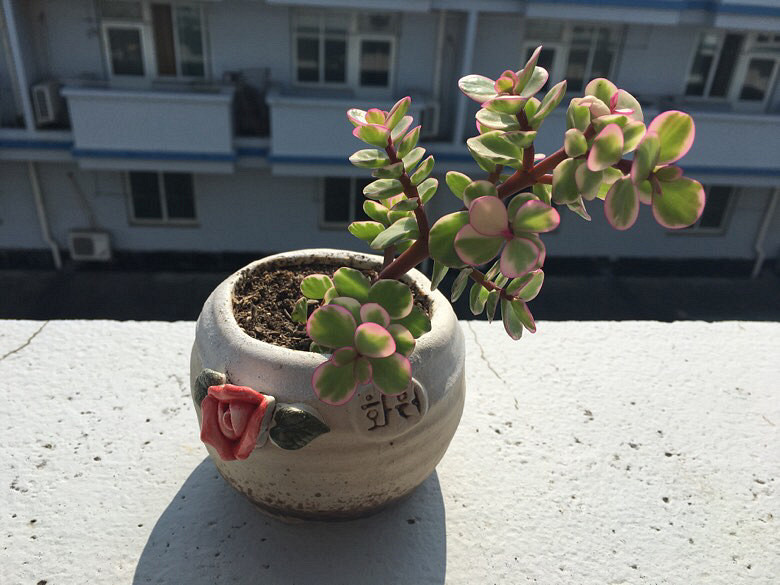 �ֵ���õĶ��⣬�Ҹо�ÿ�趼�ÿ���