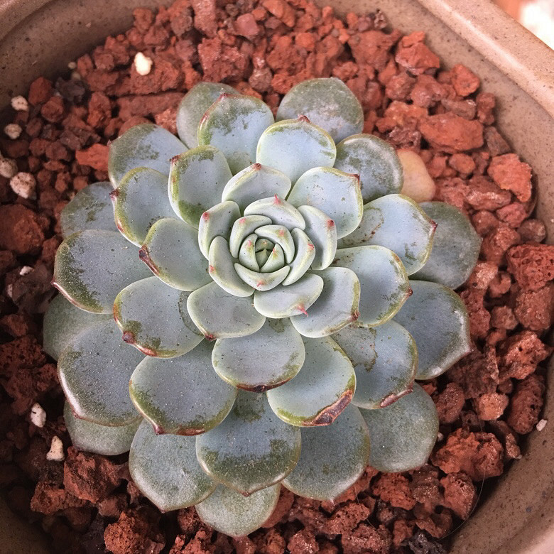 ���ǰ���ЩС����