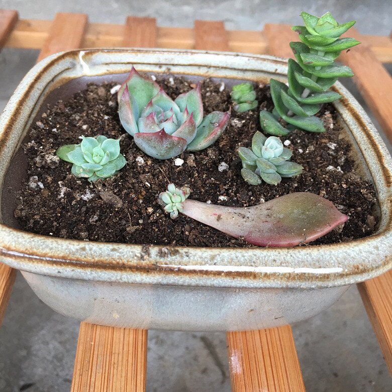 ���ǰ���ЩС����