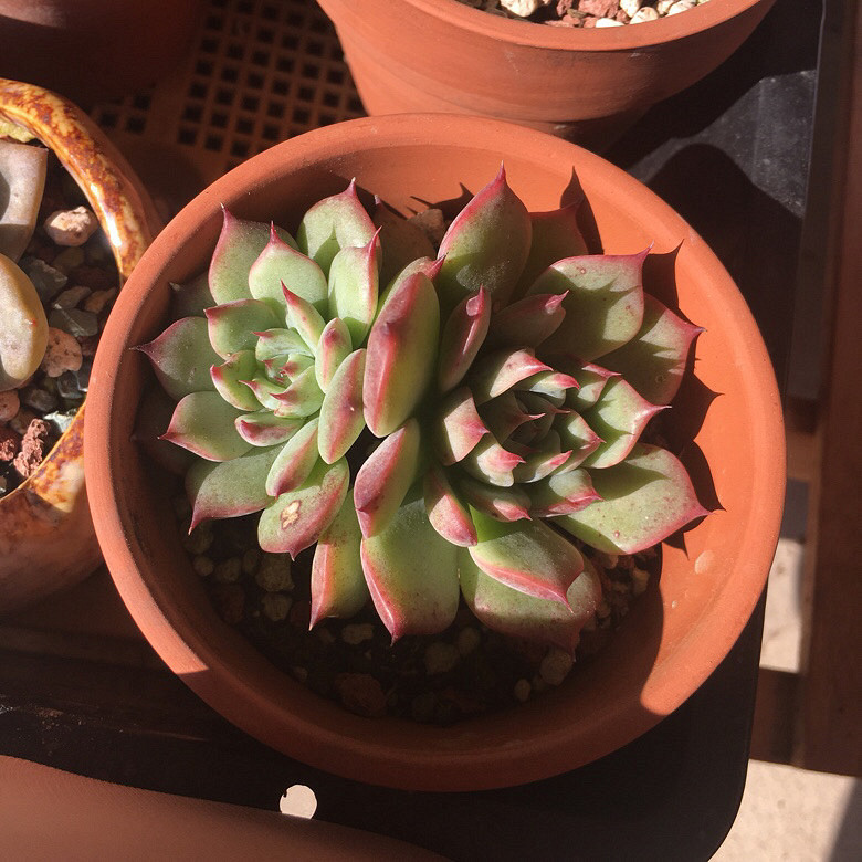 ���ǰ���ЩС����