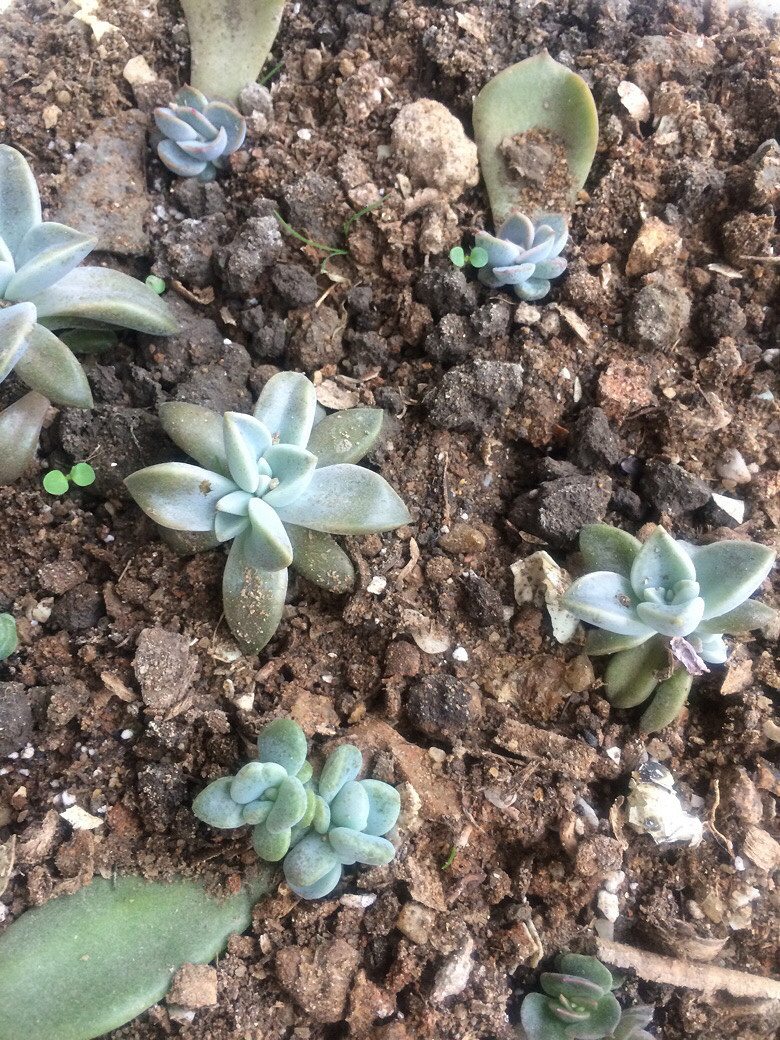 ���쿴���춼�������