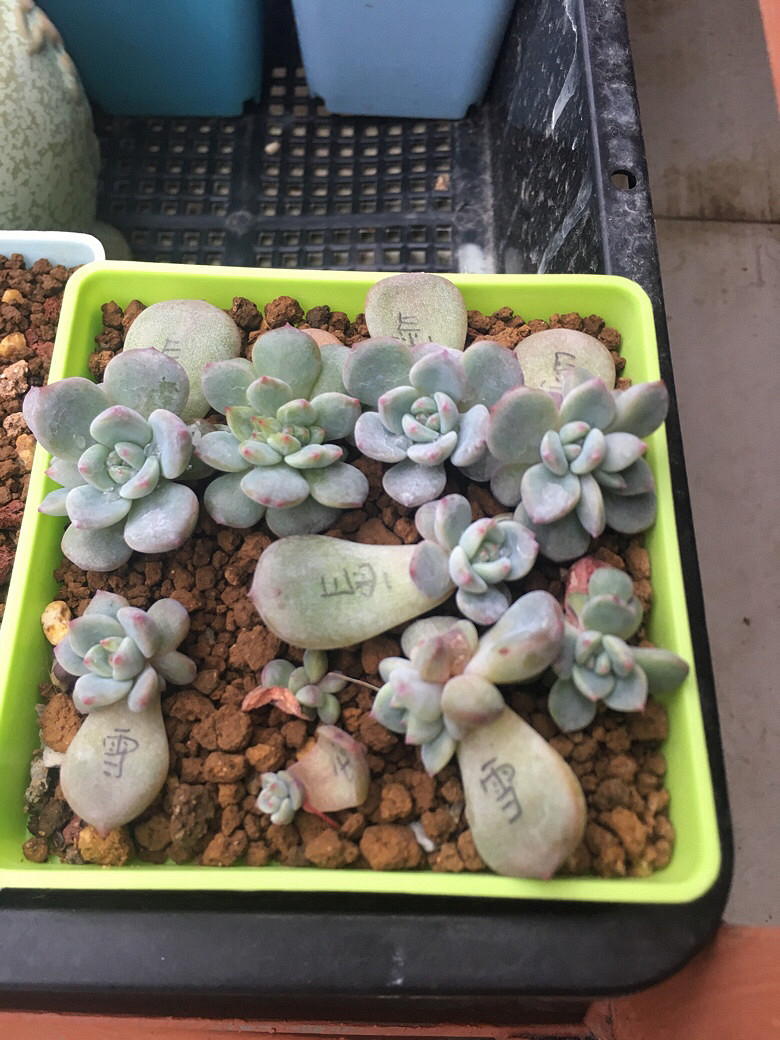 �����һ�����