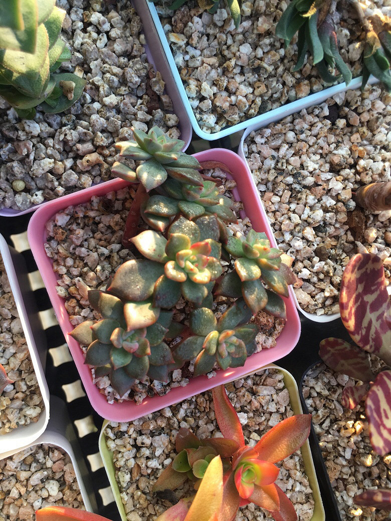 �����һ�����