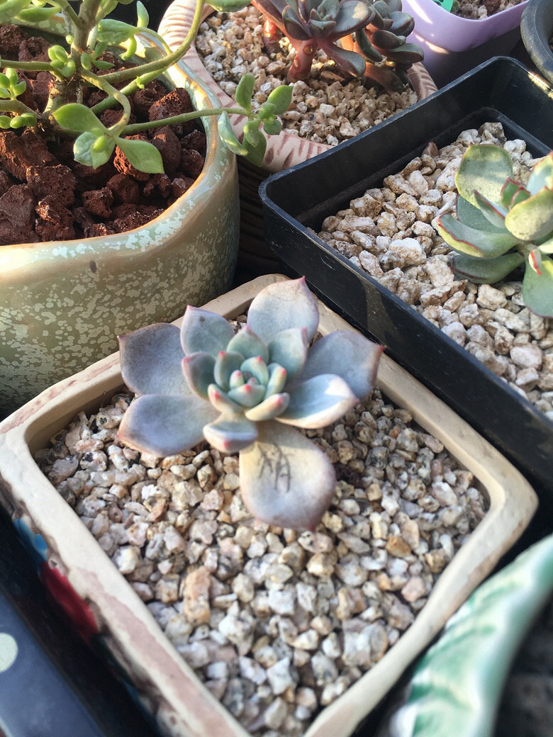 �����һ�����