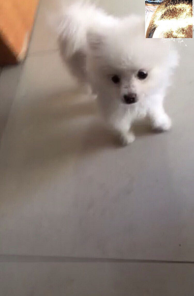 ����Ѱ����ʾ