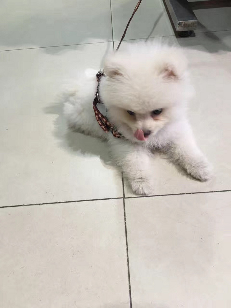 ����Ѱ����ʾ